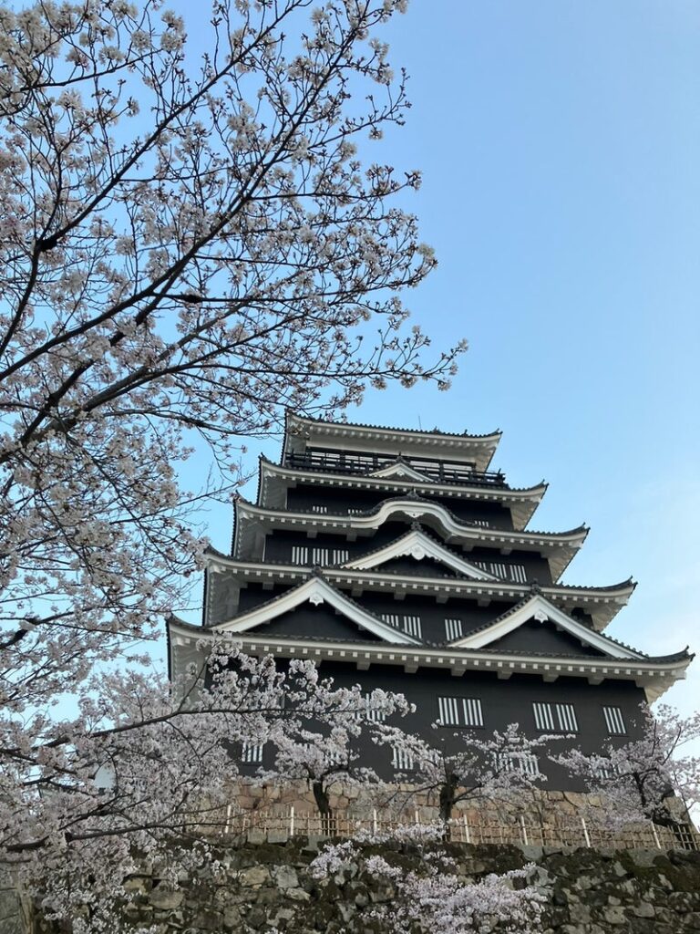 三蔵稲荷神社側から見上げる鉄板張りの黒い城壁