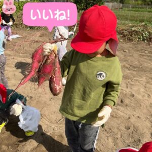 THE お芋掘り2025